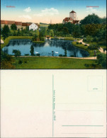 Ansichtskarte Geithain Schwanenteich 1915 - Geithain