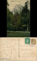 Ansichtskarte Ilsenburg (Harz) Ilsestein / Ilsenstein - Waldpartie 1917 - Autres & Non Classés