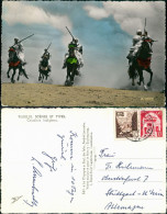 Postcard Ägypten (allgemein) Trachten - Typen (Ägypten) Cavaliers 1969 - Autres & Non Classés