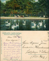 Ansichtskarte Hamburg Partie An Der Alster 1906 - Other & Unclassified