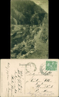 Postcard Semil Semily Riegrovy Stezky 1924 - Czech Republic