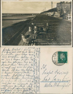 Ansichtskarte Borkum Möwen An Der Wandelhalle 1930  - Borkum