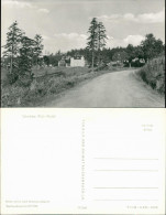 Ansichtskarte Schmücke-Gehlberg Blick Zum Ort Vom Weg Aus 1962 - Other & Unclassified