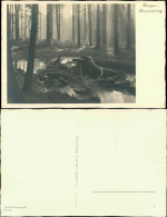 Ansichtskarte  Stimmungsbild Baumstumpf Im Wasser Wald, Morgendämmerung 1932 - Unclassified