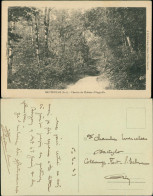 CPA Hauteville Der Weg Im Wald 1929 - Non Classés