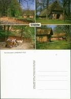 Ansichtskarte Wilsede-Bispingen Gasthaus Zum Heidemuseum 1983 - Autres & Non Classés