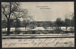 AK Ludwigsburg / Württemberg, Königl. Schlossgarten Im Winter  - Ludwigsburg