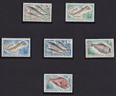 1961-64 CONGO - Yvert N. 142/147A 6 Val. MNH** - Fische