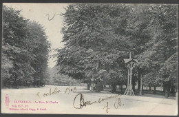 CPA CARTE POSTALE BELGIQUE BRUXELLES AU BOIS  LA CLOCHE 1903 - Otros & Sin Clasificación