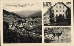 CPA Wildenthal Eibenstock Im Erzgebirge, Sommerfrische, Hotel Drechsler, Hirsch - Otros & Sin Clasificación