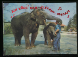 3D-AK Indische Elefanten Im Zoo  - Photographie
