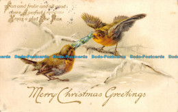 R158550 Merry Christmas Greetings. Birds In Winter. Tuck. 1907 - Monde