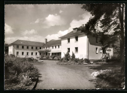 AK Eckardtsheim Bei Bielefeld, Pension Haus Sonneck Im Sonnenschein  - Bielefeld