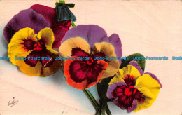R158568 Old Postcard. Flowers. Cecami - Monde