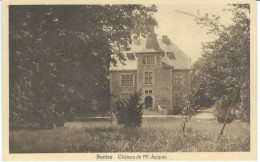 SURICE ; Château De Mr Jacques RARE CPA - Philippeville