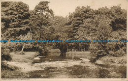 R157541 Queens Bower. Brockenhurst. W. T. R. Bolton. No 25017 - World