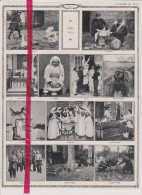 Guerre 14/ 18 Oorlog - Noël 1914 - Orig. Knipsel Coupure Tijdschrift Magazine - Unclassified