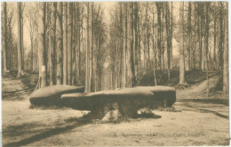 Tervuren 1928; Le Parc, Pierres Druidiques - Voyagé. (P.I.B.) - Tervuren