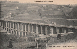 Saint Brieuc (22 - Côtes D'Armor) Viaduc De Souzin - Saint-Brieuc