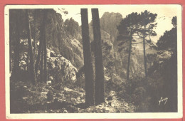 11250 / PIANA Coin Pittoresque Des  CALANCHES 20-Corse 1930s Photo-Bromure Editions YVON Corsica - Sonstige & Ohne Zuordnung