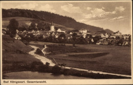 CPA Lázně Kynžvart Bad Königswart Region Karlsbad, Gesamtansicht - Tchéquie