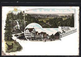 Lithographie Freudenstadt, Sankenbacher Wasserfälle, Marktplatz  - Freudenstadt