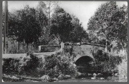 CPA CARTE POSTALE BELGIQUE SAUTOUR  LE PONT DE PIERRE - Autres & Non Classés