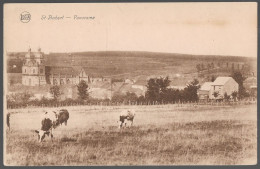 CPA CARTE POSTALE BELGIQUE SAINT-HUBERT PANORAMA - Other & Unclassified