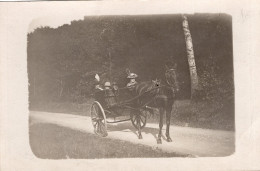 Carte Photo D'une Femme élégante Avec Sa Jeune Fille Et Un Jeune Garcon Dans Une Cariole A La Campagne Vers 1905 - Personnes Anonymes