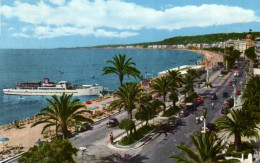 France > [06] Alpes Maritimes > Nice > Parcs Et Jardins - Promenade Des Anglais - 8450 - Parken En Tuinen