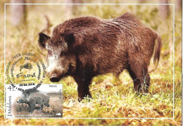 Moldova - Postal Stationery And Maximum Card 2018 : Wild Boar (Sus Scrofa) - Wild