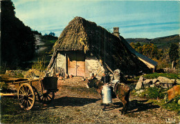 63 AUVERGNE VIEUX BURON  - Sonstige & Ohne Zuordnung