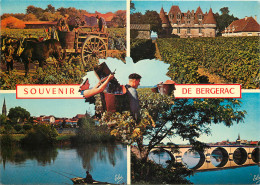 24 SOUVENIR DE BERGERAC VENDANGES MULTIVUES - Bergerac