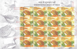 ENDANGERED BIRDS OF INDIA-MANIPUR BUSH QUAIL-SHEETLET-MULTIPLE ERROR- COLOR OMISSION-ONLY 1 EXISTS-INDIA-2006-MNH-IE-192 - Gallinaceans & Pheasants