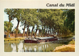 31 CANAL DU MIDI PENICHE  - Other & Unclassified