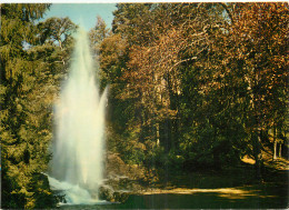 31 BASSIN DE ST FERREOL LA GERBE - Sonstige & Ohne Zuordnung