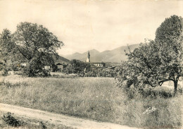 31 LOURES BAROUSSE - Otros & Sin Clasificación