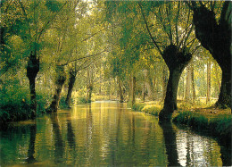 79 MARAIS POITEVIN  - Sonstige & Ohne Zuordnung