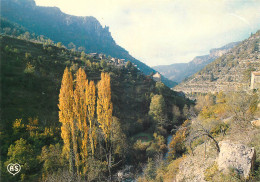 48 GORGES DE LA JONTE LE MAYNIAL - Otros & Sin Clasificación