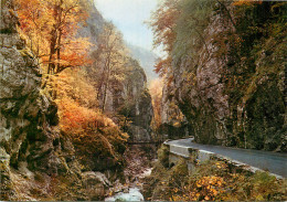 ROUTE DES GORGES EN AUTOMNE  - Autres & Non Classés