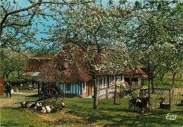 LA NORAMANDIE FERME NORMANDE POMMIERS EN FLEURS - Haute-Normandie