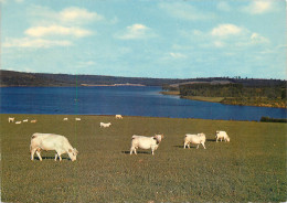 89 LE LAC DE SAINT AGNAN - Sonstige & Ohne Zuordnung