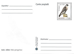 Moldova - Postal Stationery  2016 : Peregrine Falcon (Falco Peregrinus) - Aigles & Rapaces Diurnes