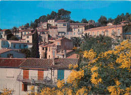 83 BORMES LES MIMOSAS - Bormes-les-Mimosas