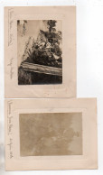 513, WW1, Aisne, Bois-Blanc 1917, 2 Photos, Poilu Sur Un Mulet Et Brigadier Mathieu, 87e RALT  - Guerre, Militaire