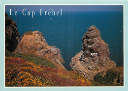 22 LE CAP FREHEL  - Altri & Non Classificati