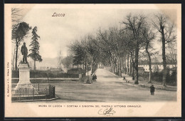 Cartolina Lucca, Mura Di Lucca, Cortina A Sinistra Del Piazzale Vittorio Emanuele  - Lucca