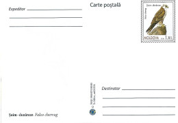 Moldova - Postal Stationery  2016 : Saker Falcon (Falco Cherrug ) - Águilas & Aves De Presa