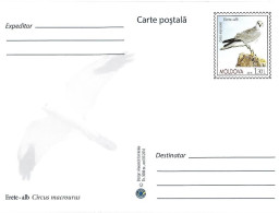Moldova - Postal Stationery  2016 : Pallid Harrier (Circus Macrourus) - Águilas & Aves De Presa
