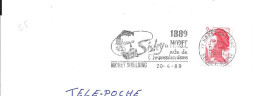 Lettre Entière Flamme 1989 Moret Sur Loing Seine Et Marne Sisley - Maschinenstempel (Werbestempel)